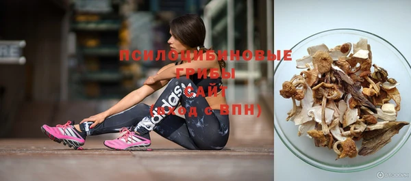 a pvp Елабуга