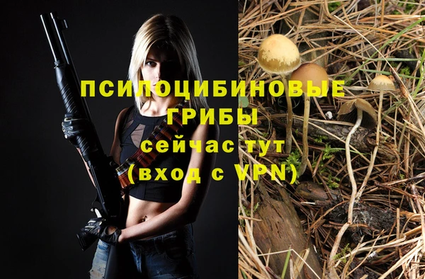 a pvp Елабуга