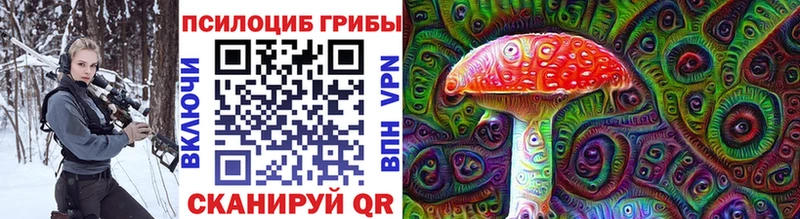 Псилоцибиновые грибы Psilocybine cubensis  Купить где  Мглин 